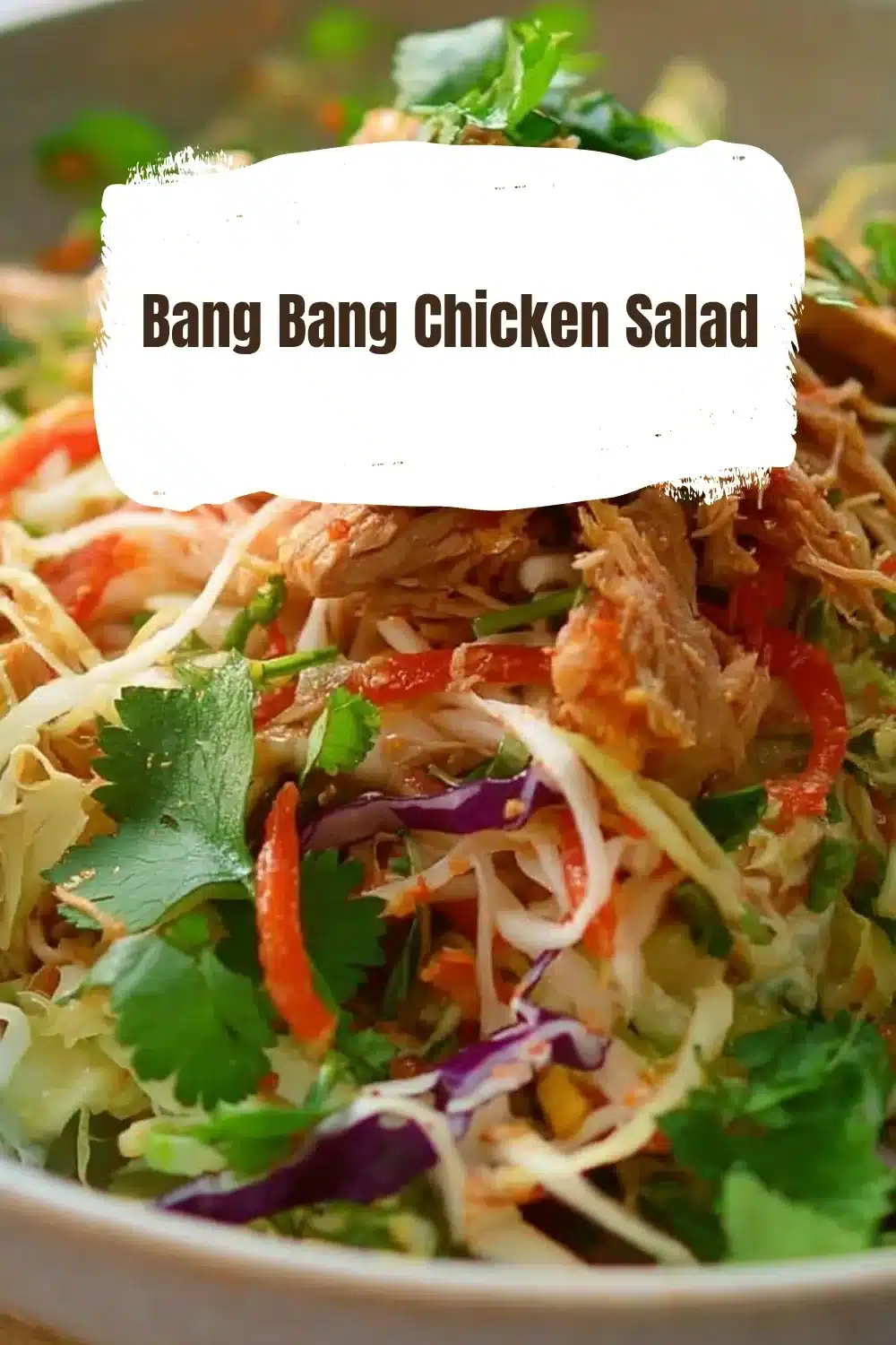 Bang Bang Chicken Salad 1 A colorful Bang Bang Chicken Salad with fresh vegetables and spicy sauce