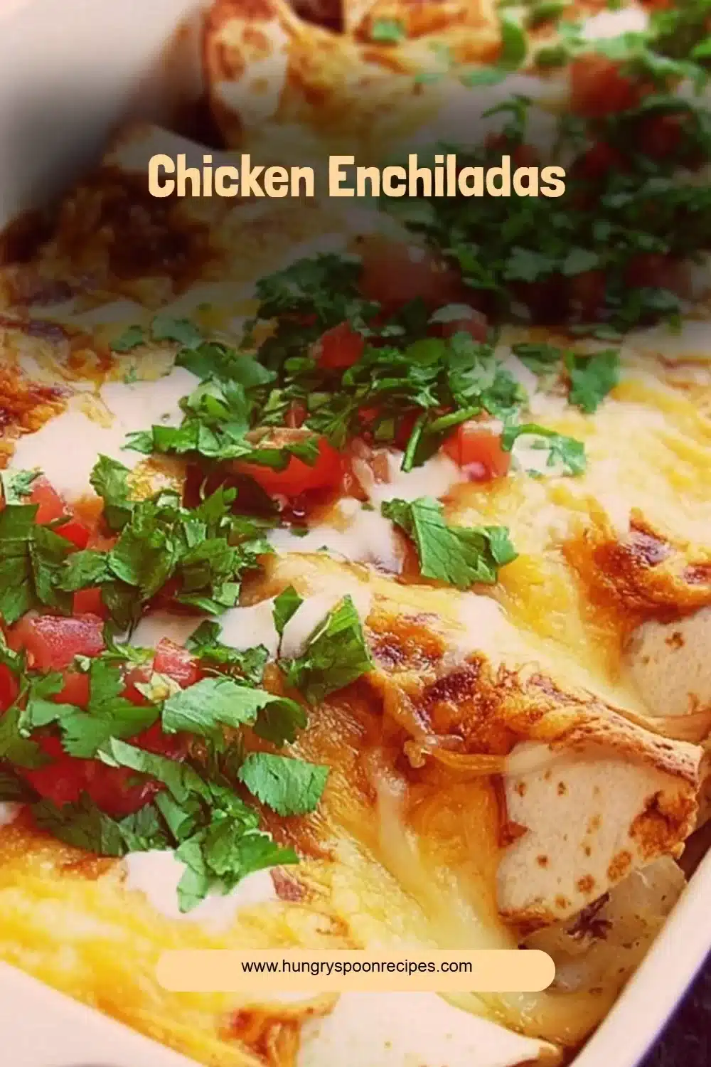 Chicken Enchiladas 1 Plate of flavorful Chicken Enchiladas garnished with fresh cilantro and cheese.