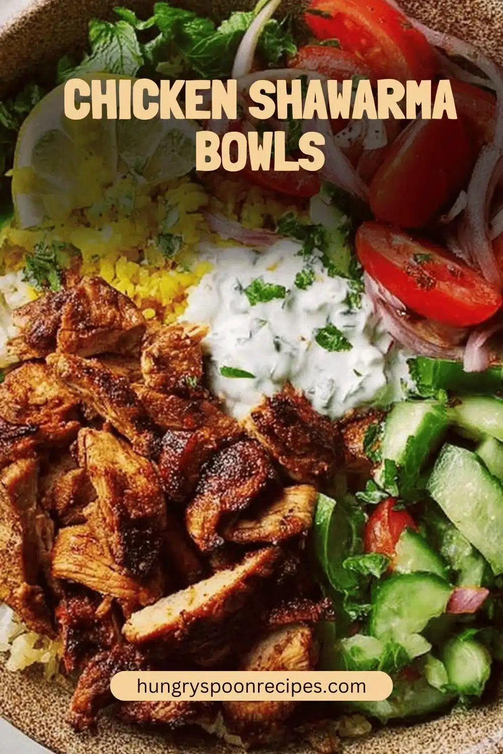 Chicken Shawarma Bowl with fresh vegetables and spices