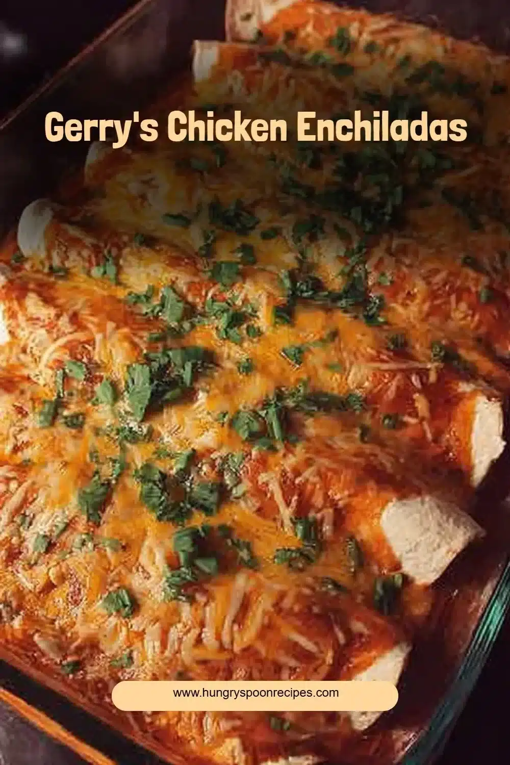 Gerry's Chicken Enchiladas 1 Delicious Gerry's Chicken Enchiladas served with sauce and toppings.