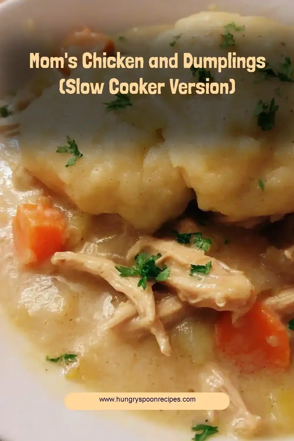 Homemade chicken and dumplings in a slow cooker recipe