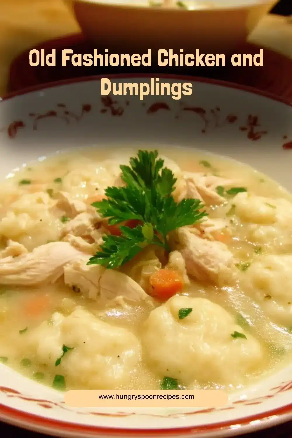 Bowl of old fashioned chicken and dumplings steaming with herbs and spices