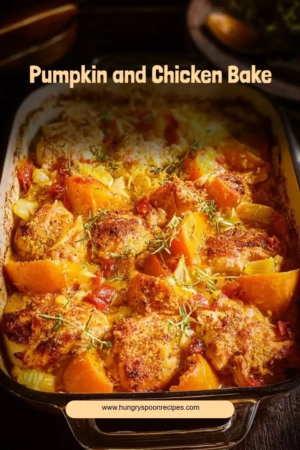 Pumpkin and Chicken Bake 1 A warm Pumpkin Chicken Bake dish, featuring chicken and pumpkin in a creamy sauce.