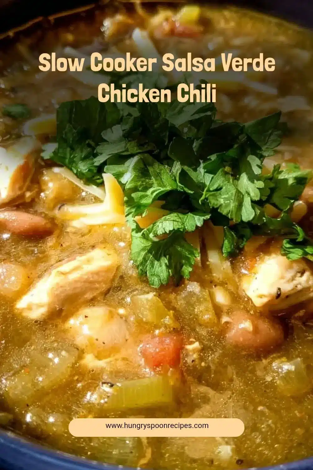 Slow Cooker Salsa Verde Chicken Chili 1 Delicious slow cooker salsa verde chicken chili in a bowl garnished with cilantro