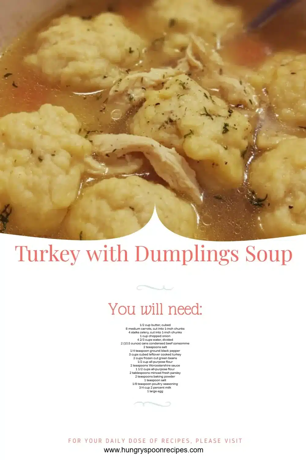 Bowl of Turkey Dumplings Soup with fresh herbs and spices