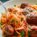 Spaghetti and Meatballs 2 spaghetti and meatballs 2025 10 24 091000 150x150 1