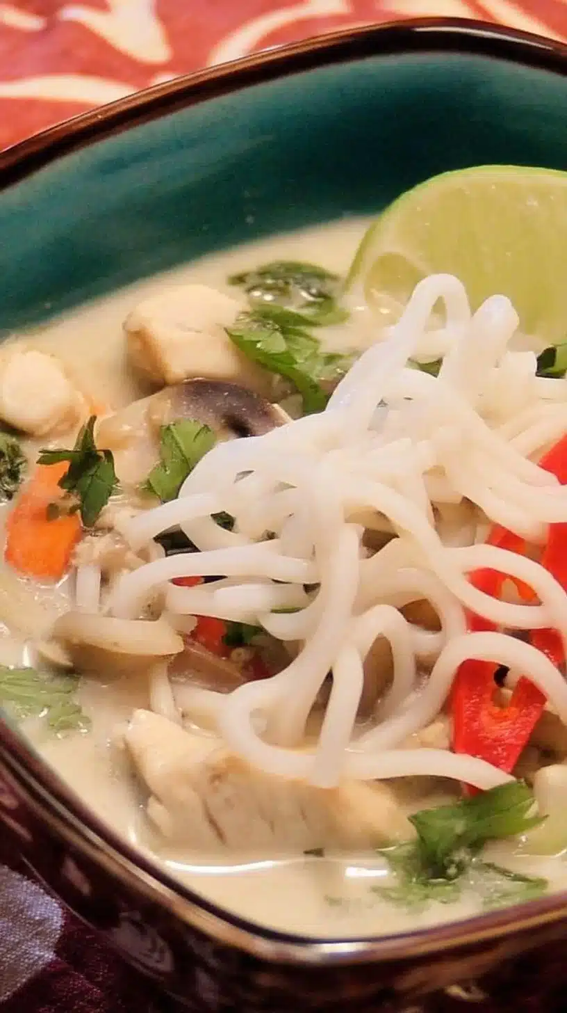 Thai Coconut Chicken Soup (Noodle Bowl) 1 Delicious Thai coconut chicken soup served in a noodle bowl
