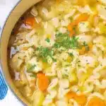 Vegan Chicken Noodle Soup 2 vegan chicken noodle soup 2025 10 27 225457 150x150 1