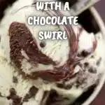 Peppermint Ice Cream with a Chocolate Swirl 2 peppermint ice cream with a chocolate swirl 2025 11 07 230824 150x150 1