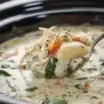 Slow Cooker Chicken Gnocchi Soup 2 slow cooker chicken gnocchi soup 2025 11 24 140600 150x150 1