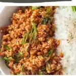 Baked BBQ Chicken Drumsticks 2 baked bbq chicken drumsticks 2025 12 21 195913 150x150 1